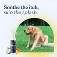 thumbnail image 5 of Honest Paws Dog Dry Shampoo, Waterless Shampoo, 8 oz Coconut & Mango, 5 of 9