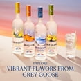 thumbnail image 6 of GREY GOOSE L'Orange Flavored Vodka - 750 mL Bottle, 6 of 7