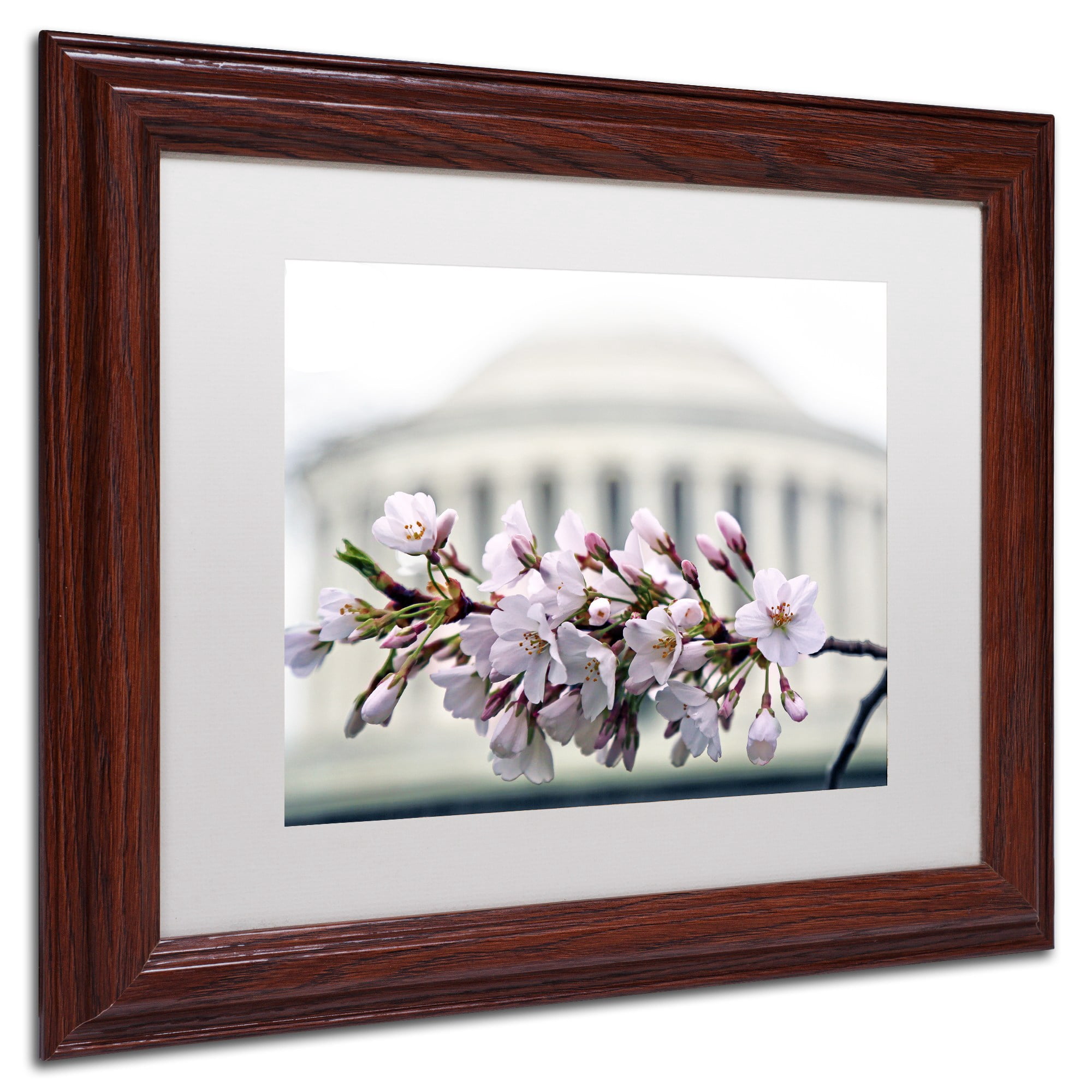 Trademark Fine Art "Jefferson Memorial Blossoms" Canvas Art by CATeyes, White Matte, Wood Frame