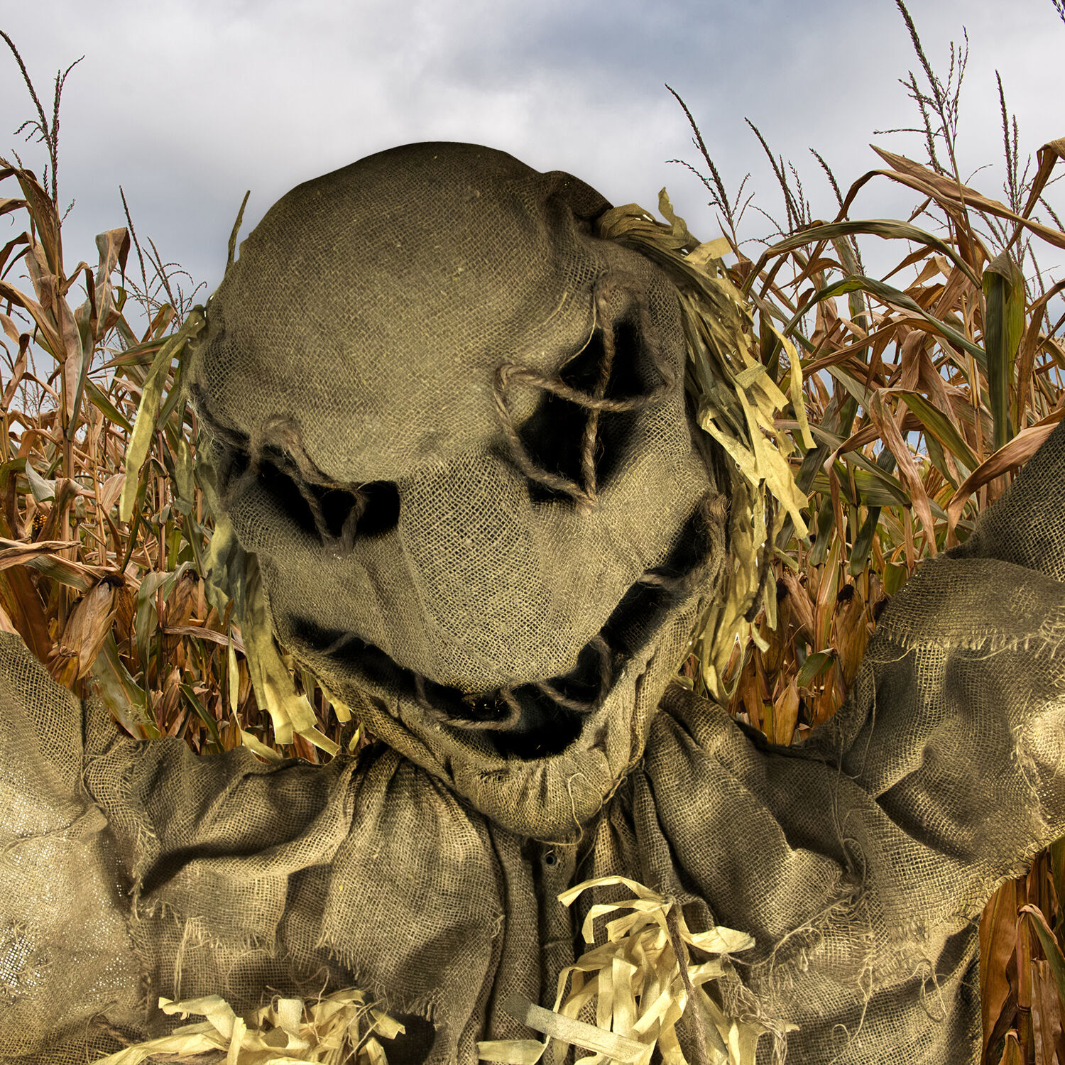 Haunted Hill Farm Life-Size Animatronic Scarecrow, Indoor/Outdoor Halloween Decoration, Multi-Color