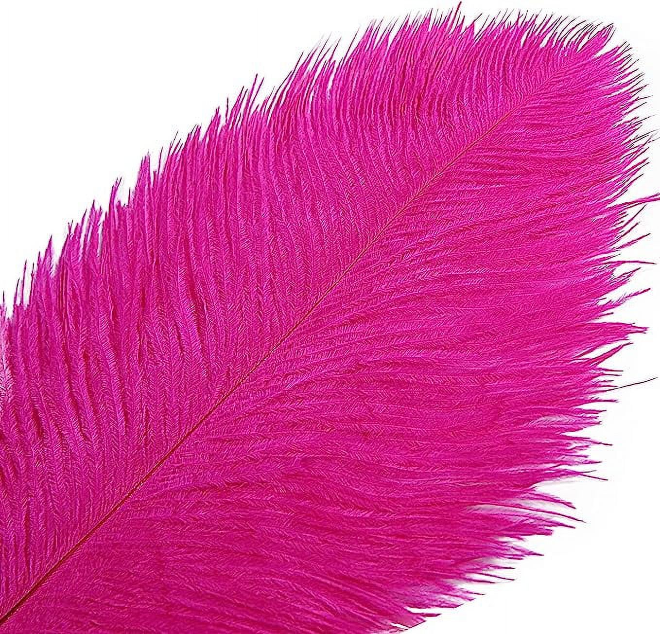 Xiao Hua 12pcs Fuchsia Ostrich Feathers Natural Bulk 16-18Inch 40cm-45cm for Wedding Party Centerpieces Easter Gatsby and Home Decorate Ostrich Feathers