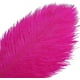 thumbnail image 3 of Xiao Hua 12 plumas de avestruz fucsias naturales a granel de 40 a 45 cm para centros de mesa de bodas, fiestas, Pascua, Gatsby y decoración del hogar., 3 of 5