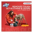 thumbnail image 2 of RESOLVE® CLEANER,CARPET,4-60OZ 19200-00353, 2 of 2