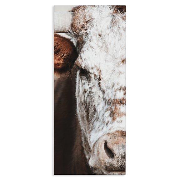 Stupell Industries Rustic Lodge Closeup Spotted Cow Cattle Detailed Farm Photography Canvas Art, 10 x 24, by White Ladder