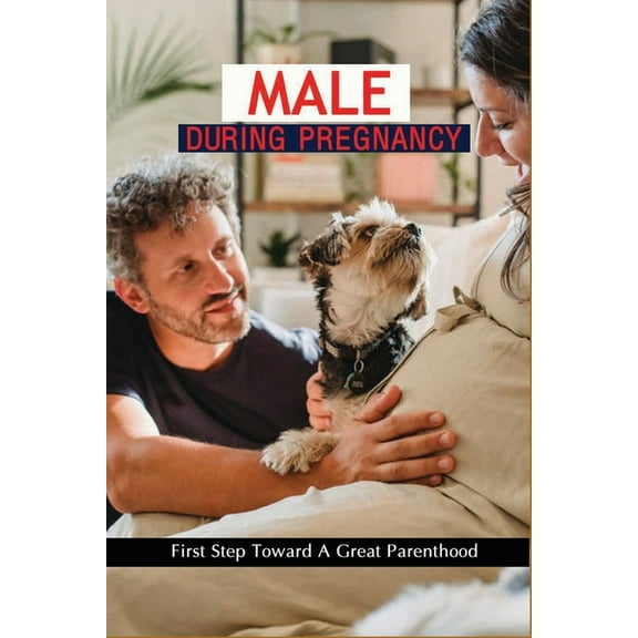 Male During Pregnancy: First Step Toward A Great Parenthood: Mens Behavior During Pregnancy (Paperback)