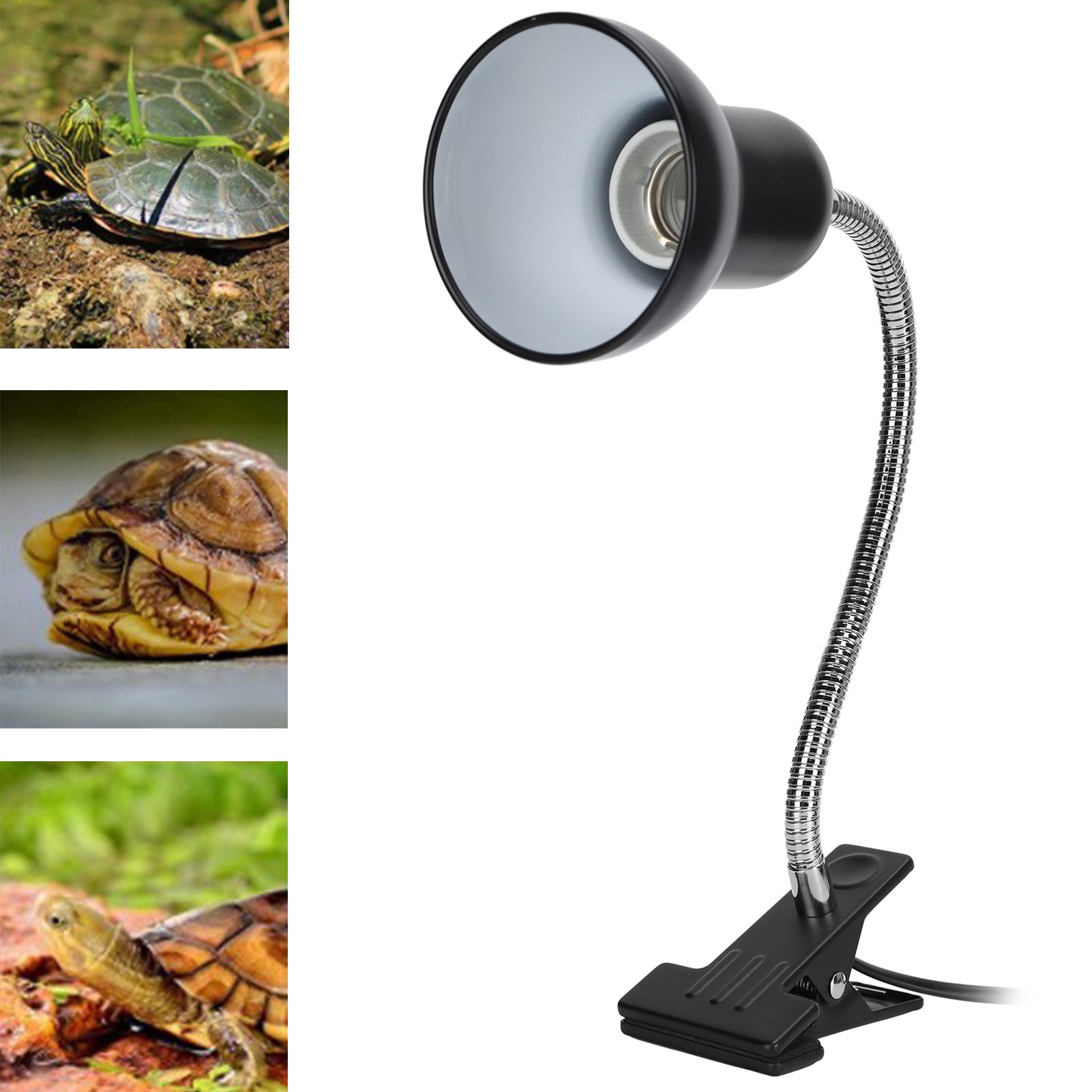 Lampe Uv Et Chauffante Pour Tortue Terrestre