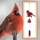thumbnail image 3 of Carillón de Viento con Forma de Pájaro Cardenal, Regalos de Cardenal para el Amor de una Madre Gloriosa, Carillones de Pájaro para Jardín, Patio Trasero, Iglesia, 3 of 5