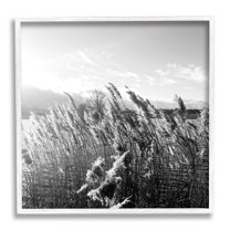 Stupell Indtries Tall Grass Lake Water Landscape Black White Photography,17 x 17,Design by Sarah Jane
