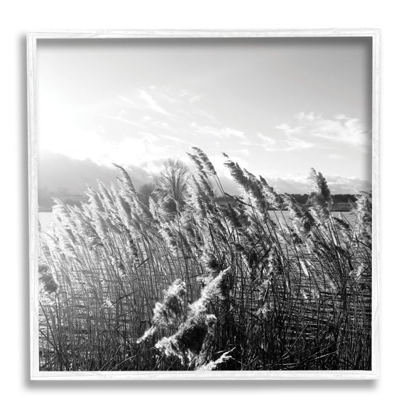 Stupell Indtries Tall Grass Lake Water Landscape Black White Photography,17 x 17,Design by Sarah Jane