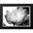 thumbnail image 2 of Van Swearingen, Debra 24x18 Black Modern Framed Museum Art Print Titled - Translucent Tulips VI, 2 of 5