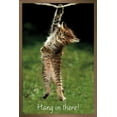 thumbnail image 1 of Célèbre chaton accroché là-bas Poster, 1 of 5