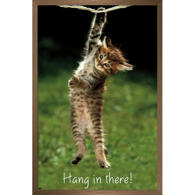 Célèbre chaton accroché là-bas Poster