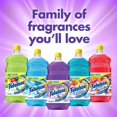 thumbnail image 6 of All Purpose Cleaner, Lavender - 169 fluid ounce, Smells clean for 24 hours By Fabuloso, 6 of 8