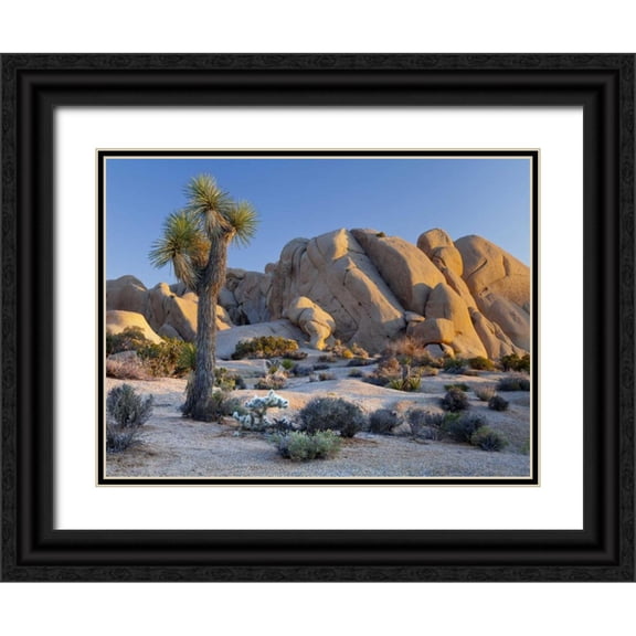 Paulson, Don 32x25 Black Ornate Wood Framed with Double Matting Museum Art Print Titled - CA, Joshua Tree NP Joshua tree and boulders