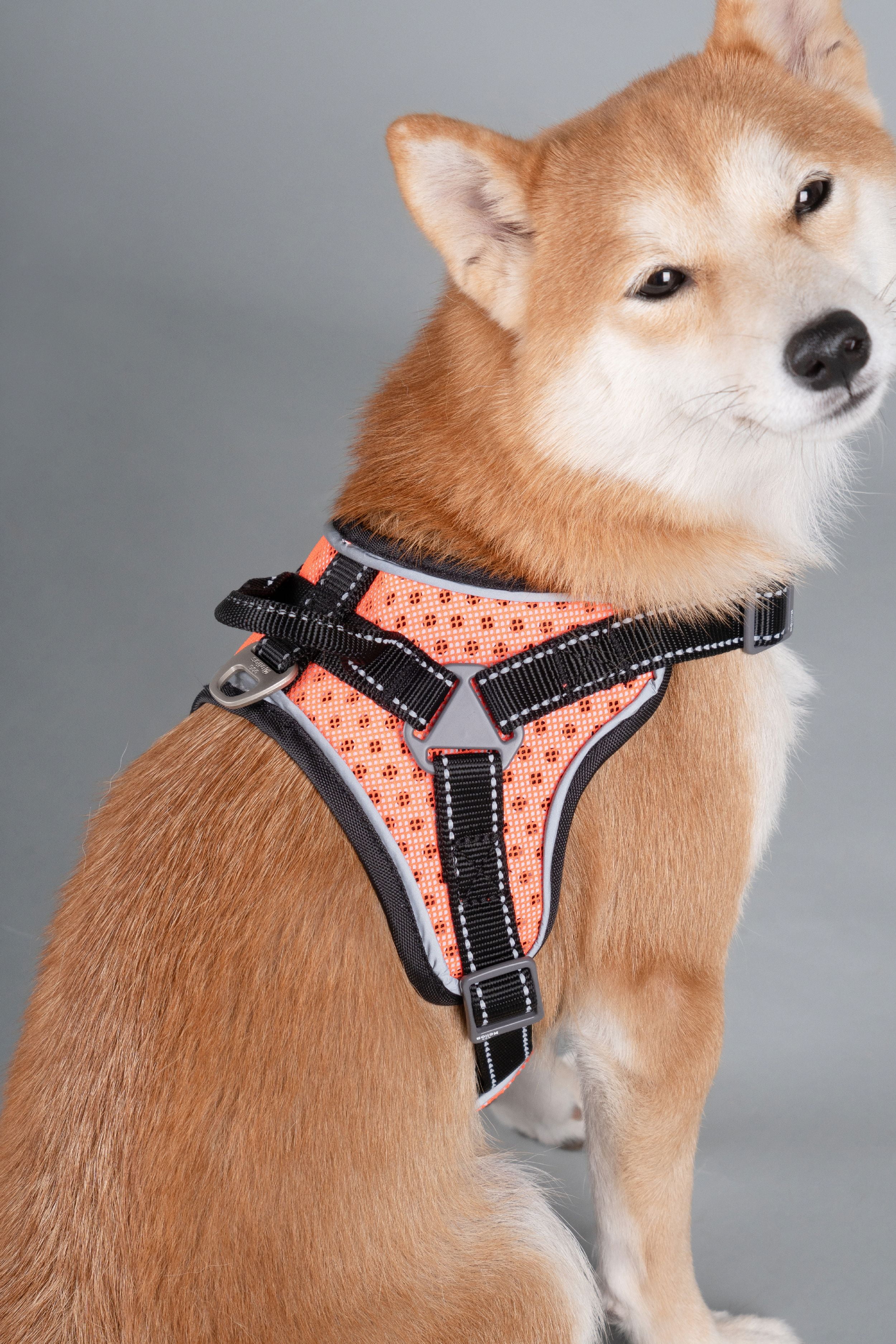 Pet Life Neo-Craft Handmade One-Piece Knot-Gripped Training Dog Leash - One Size / Red