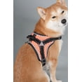 thumbnail image 3 of Pet Life Neo-Craft Handmade One-Piece Knot-Gripped Training Dog Leash - One Size / Red, 3 of 5