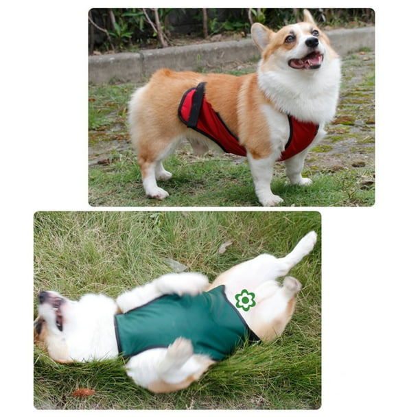 Dog chest protection vest online