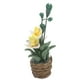 thumbnail image 3 of Plantas de casa de muñecas 1:12 Mini linda cesta de flores vívidas y realistas Bonsai en miniatura para niños Juguete Decoración de casa de muñecas Regalo, 3 of 14