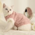 thumbnail image 3 of Padded Cat Clothes - Thickened Warm Button Closure, Comfortable 2-Legged Charming Pet Clothing, 3 of 8