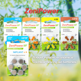 thumbnail image 2 of 60 Piles pour Aide Auditive ZeniPower Taille : 675P Cochlear, 2 of 7