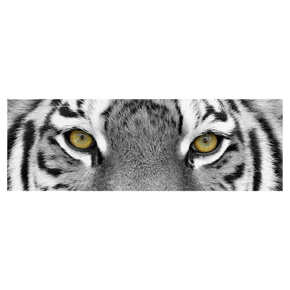 Masterpiece Art Gallery Tiger Eyes by PhotoINC Studio Canvas Art Print 16" x 48"