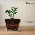 thumbnail image 2 of Maceta Cuadrada Elly Decor Clavel con Drenaje Color Gris Cemento 30 x 30 cm, 2 of 6