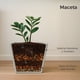 thumbnail image 2 of Maceta Cuadrada Elly Decor Clavel con Drenaje Color Gris Cemento 30 x 30 cm, 2 of 6