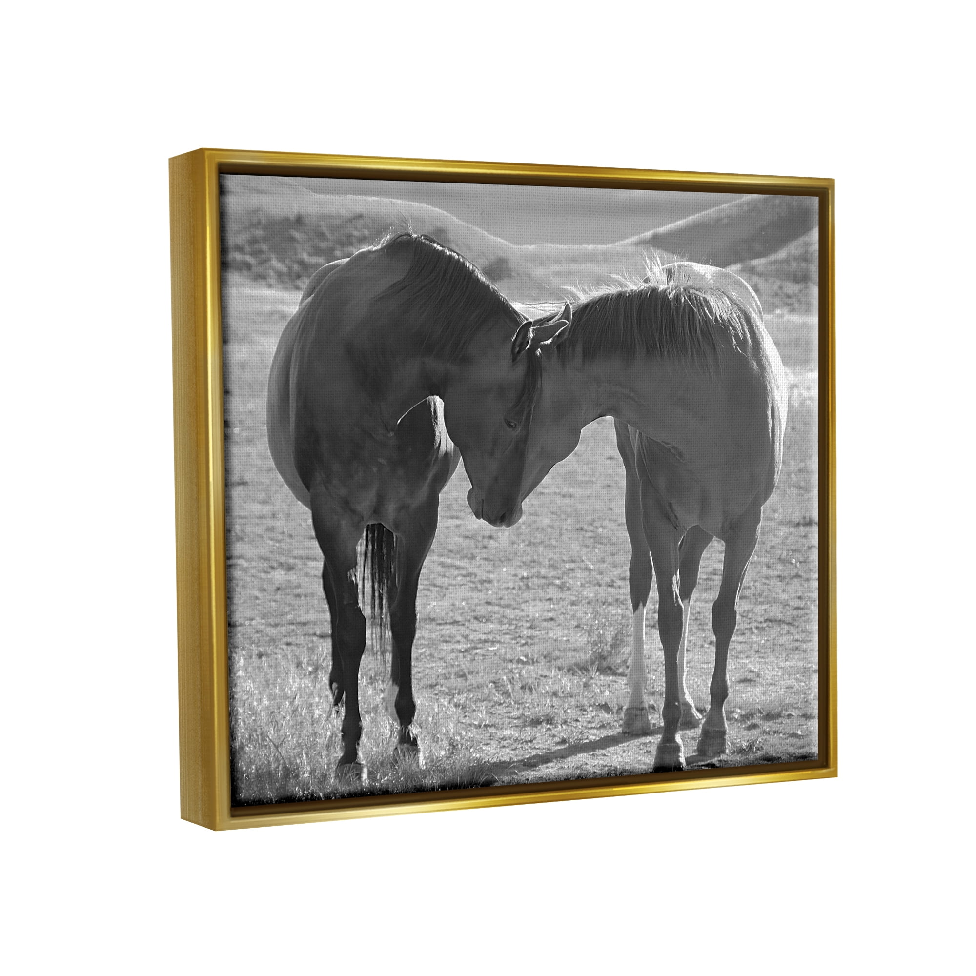 Stupell Industries Horses Hugging Photography Animals & Insects Photography Gold Floater Framed Canvas Art Print Wall Art, 31 x 25