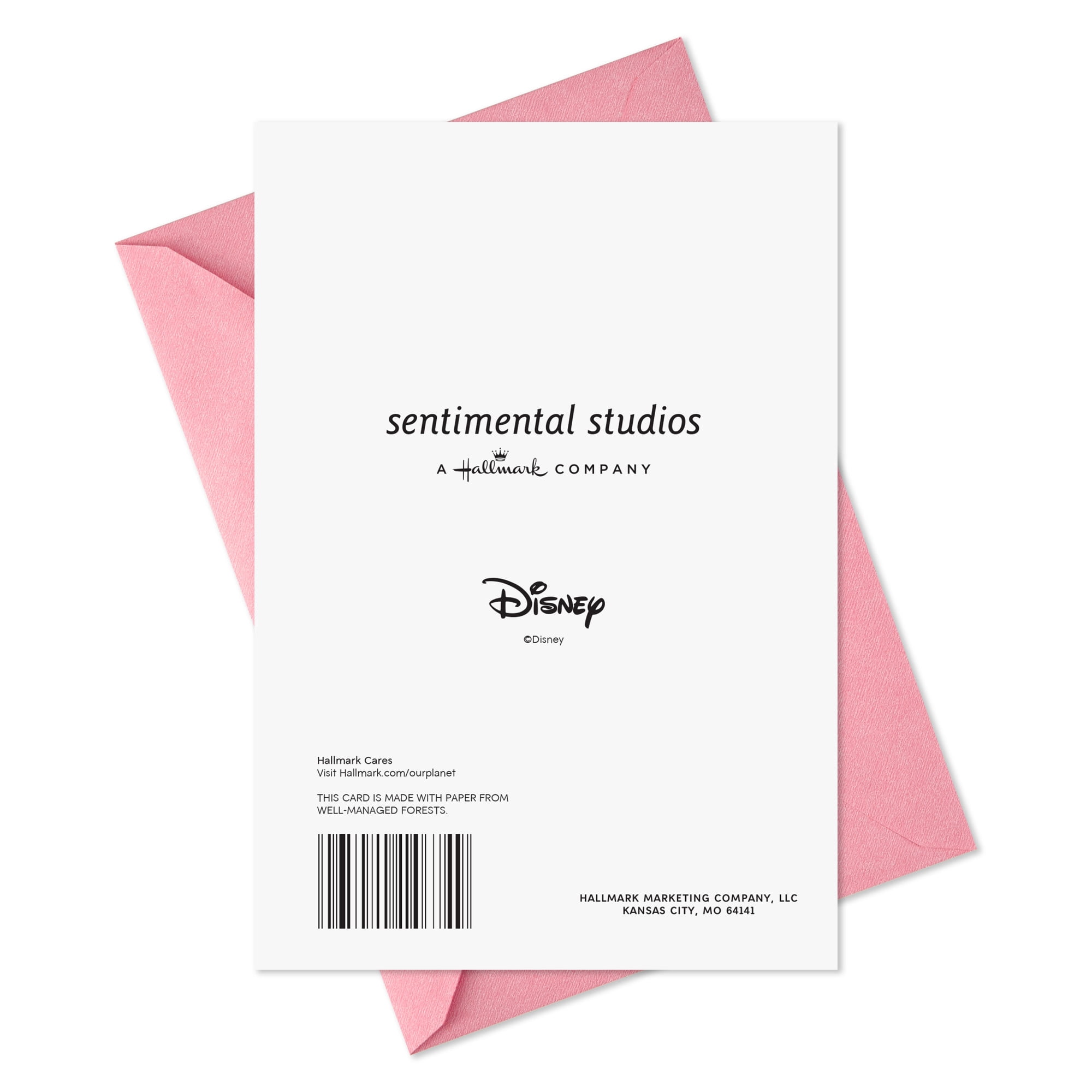 Hallmark Disney Minnie Mouse Birthday Card (Wishes Come True)