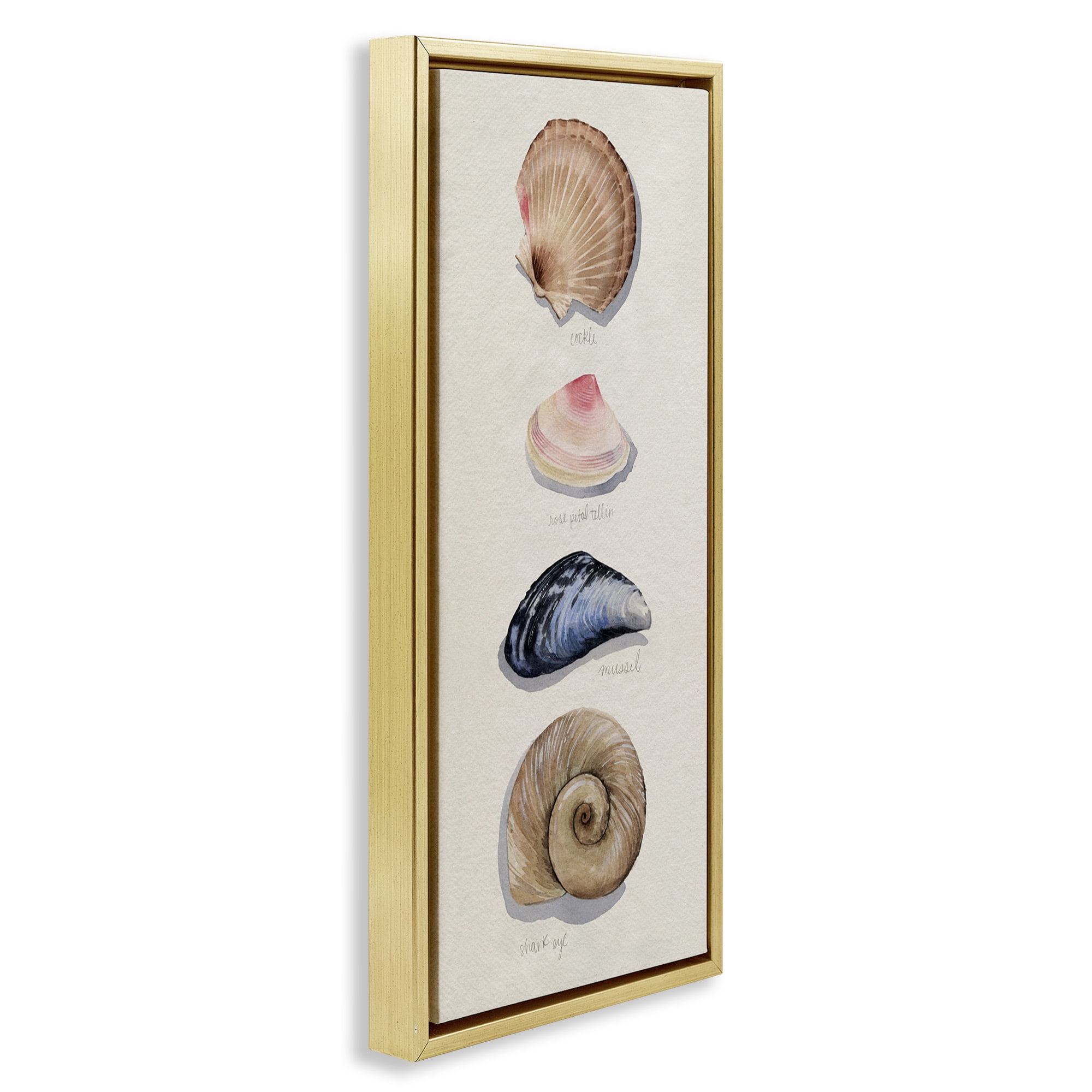 Stupell Industries Traditional Nautical Sea Shells Nature Painting Gold Floater Framed Canvas Art Print Wall Art, 11 x 25