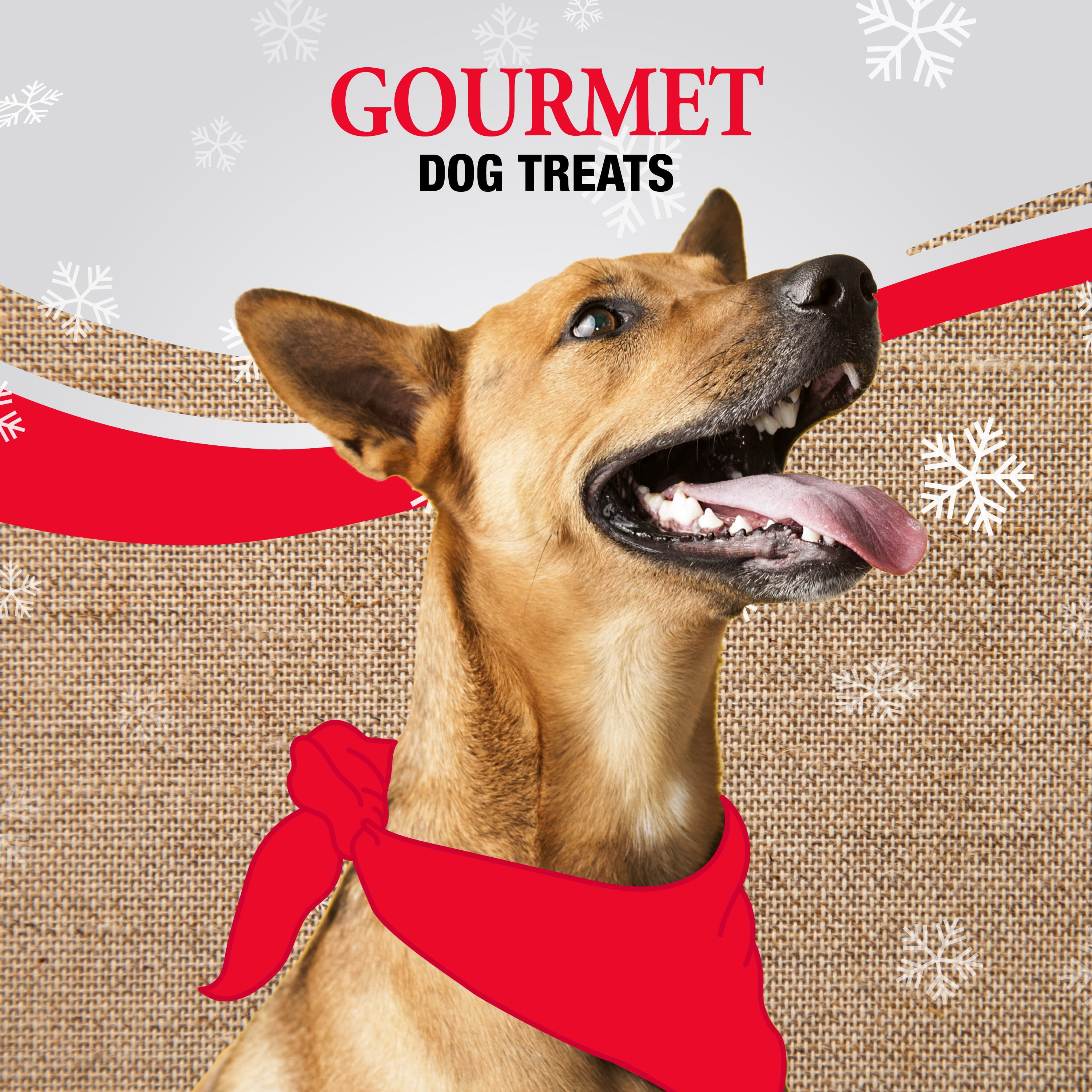 Good 'n' Fun Triple Flavor Jumbo Kabobs Holiday Chews for Large Dogs, 5 Count