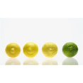 thumbnail image 1 of Posterazzi DPI1795401 Lemons & Lime Poster Print by Kelly Redinger, 20 x 11, 1 of 1