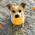 thumbnail image 3 of Blublu Park Interactive Dog Toys and Puzzle, Colorful Squeaky Dog Toys, Chick, 3 of 7