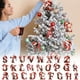 thumbnail image 1 of Adornos Navideños con 26 Letras, Colgantes Acrílicos de 8 Cm con Símbolos Navideños, Adornos Personalizados para Árbol de Navidad (Paquete de 1), 1 of 6