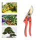 thumbnail image 4 of Tijeras de Podar de Derivación Tijeras de Podar Manuales con Cuchillas Curvas de Acero Al Carbono Cortadoras de Jardín con Interruptor de Bloqueo Automático para Podar Ramas de ANGGREK Otros, 4 of 8