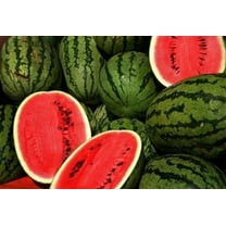 Charleston Gray Watermelon Seeds (heirloom variety) - 1 packet