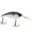 FX Shad, variant on Berkley Money Badger, 6.75, Ghost Red Craw