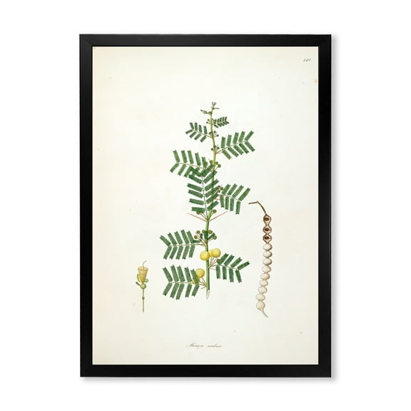 Designart 'Ancient Blossoming Flower III' Farmhouse Framed Art Print