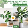thumbnail image 4 of Estacas de soporte para plantas HiGift de 32 pulgadas, ajustables, resistentes, 6 piezas, 4 of 7