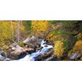 thumbnail image 2 of Palacios, J.A. 32x18 Gold Ornate Wood Framed with Double Matting Museum Art Print Titled - Forest and river 803, 2 of 4