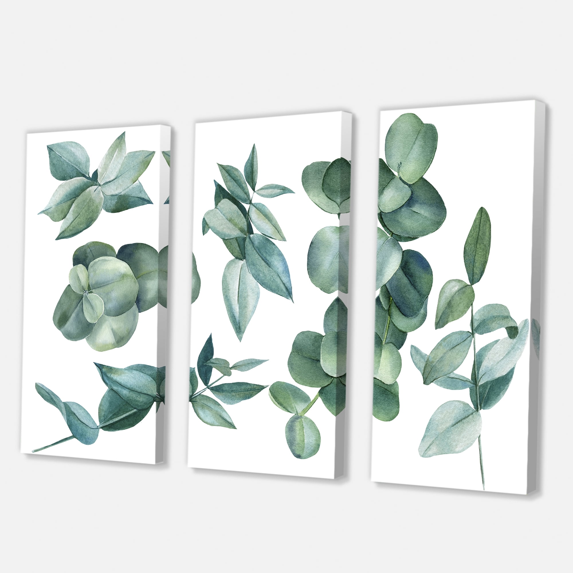 Designart ' Eucalyptus Leaves In Dark Green ' Traditional Canvas Wall Art Print