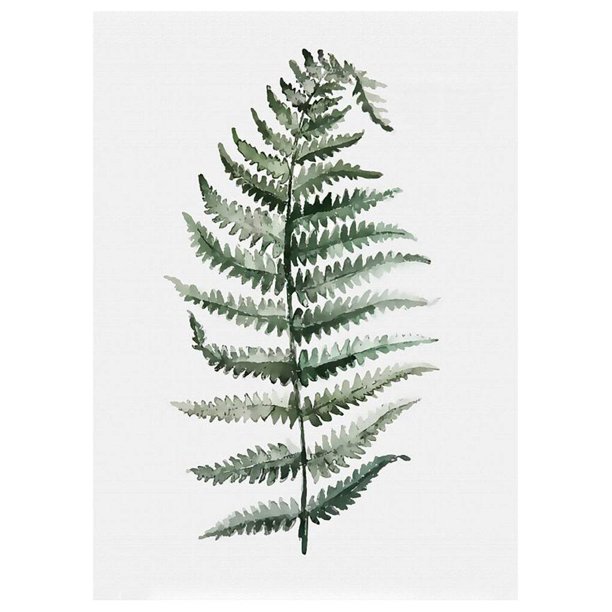 Sin marco, plantas verdes simples, hojas, pintura al óleo decorativa, imagen, dibujo, póster, decoración de la pared de la habitación Advancent JJ16766-03