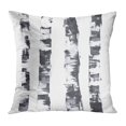 thumbnail image 1 of BOSDECO Birch Birches Watercolor Tree Bark Pattern Abstract Black Pillow Case Pillow Cover 20x20 inch, 1 of 1