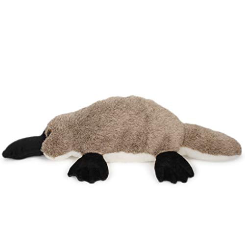 duck billed platypus stuffed animal