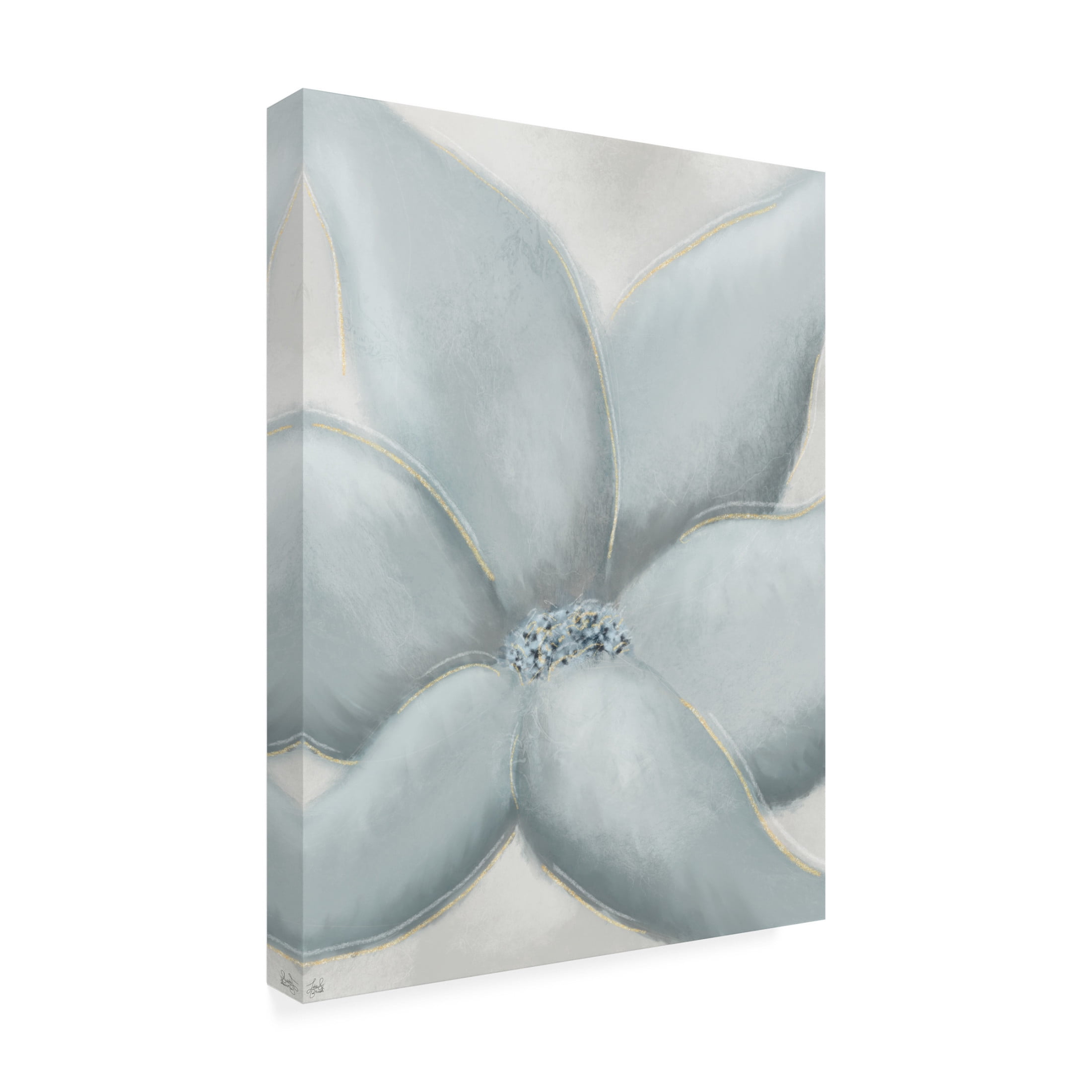 Canvas Wall Art - Line and Brush 'Cotton Flower' Wall Art for Living Room, Bedroom, or Office Décor by Trademark Fine Art - 18 x 24 Inches