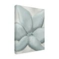 thumbnail image 3 of Canvas Wall Art - Line and Brush 'Cotton Flower' Wall Art for Living Room, Bedroom, or Office Décor by Trademark Fine Art - 14 x 19 Inches, 3 of 4