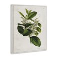 thumbnail image 3 of Stupell Industries Cottage Canvas Art, 16 x 20, by Tina Higgins Designs Inc., 3 of 8
