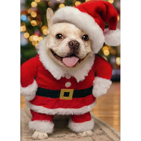 Avanti Press Puppy Wearing Santa Hat and Suit Cute Humorous : Funny Dog Christmas Card (1 card/1 envelope)