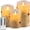 Birch Bark, variant on Candles Operatedar Real Wax Flickering Electric Led Candle Gift Sets With Remote Control Cycling 24 Hours Timer  Pack Of 6 (3" D X 4" H)