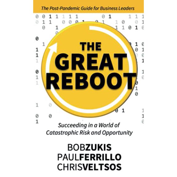 Pre-Owned The Great Reboot : Succeeding in a World of Catastrophic Risk and Opportunity (Paperback) 9781735043098